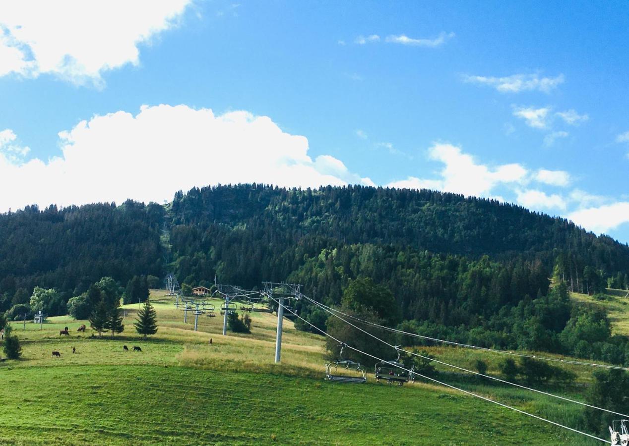 Le Nantoran Διαμέρισμα Praz-sur-Arly Εξωτερικό φωτογραφία